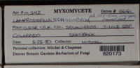 Image Associated With the Occurence